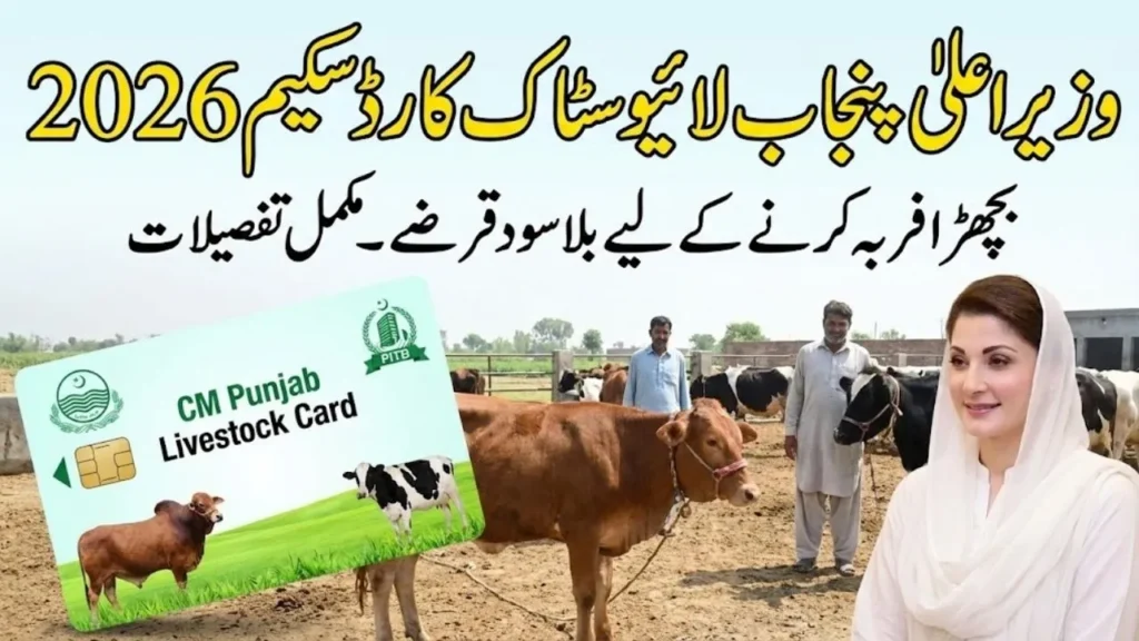 CM Punjab Livestock Card Scheme 2026 Interest-Free Loans for Calf Fattening – Full Details